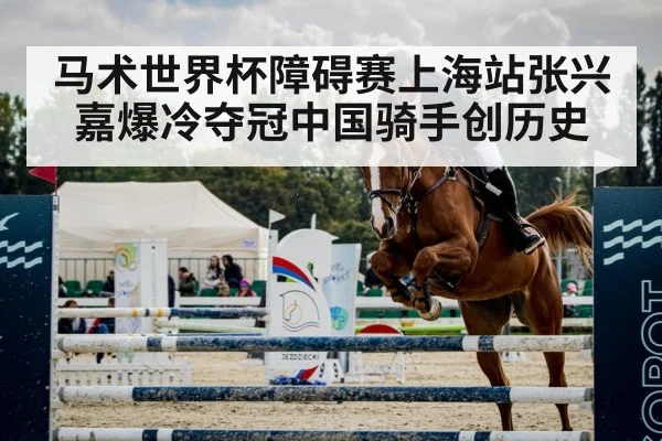 马术世界杯障碍赛上海站张兴嘉爆冷夺冠中国骑手创历史