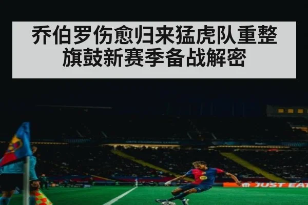 乔伯罗伤愈归来猛虎队重整旗鼓新赛季备战解密